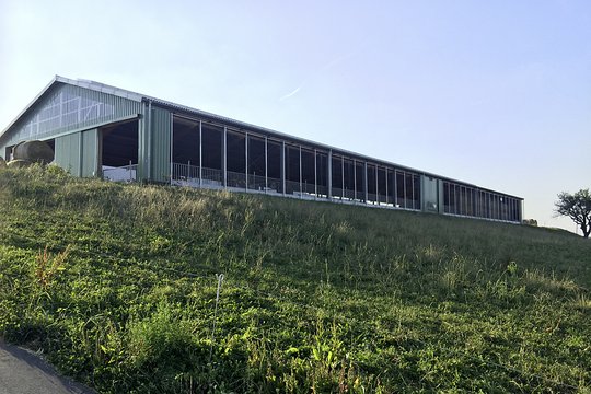 Neubau Milchviehstall